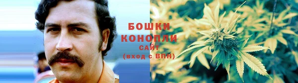 сатива Абдулино