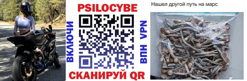 купить  цена  дарк нет Telegram  Галлюциногенные грибы Cubensis  Хасавюрт 